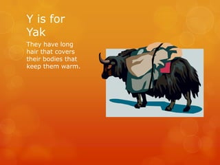 Y is for
Yak
They have long
hair that covers
their bodies that
keep them warm.

 
