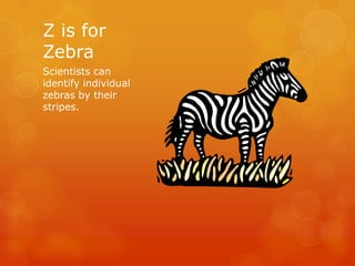 Z is for
Zebra
Scientists can
identify individual
zebras by their
stripes.

 