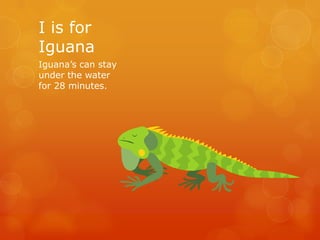 I is for
Iguana
Iguana’s can stay
under the water
for 28 minutes.

 