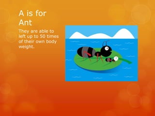 A is for
Ant
They are able to
left up to 50 times
of their own body
weight.

 