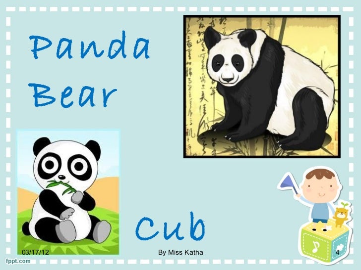 animal and babies ppt