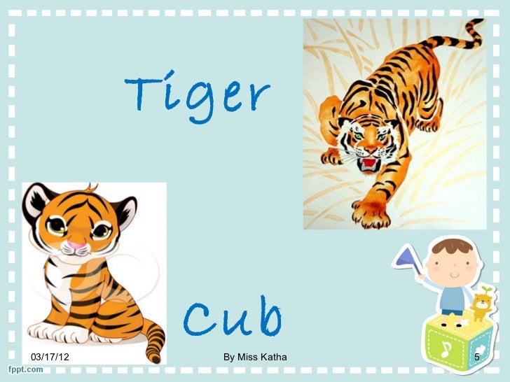 animal and babies ppt