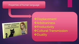Animal_and_Human_Language(1).pptx