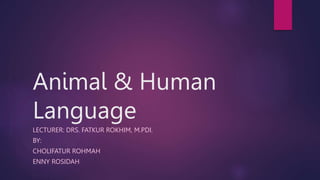 Animal & Human
Language
LECTURER: DRS. FATKUR ROKHIM, M.PDI.
BY:
CHOLIFATUR ROHMAH
ENNY ROSIDAH
 