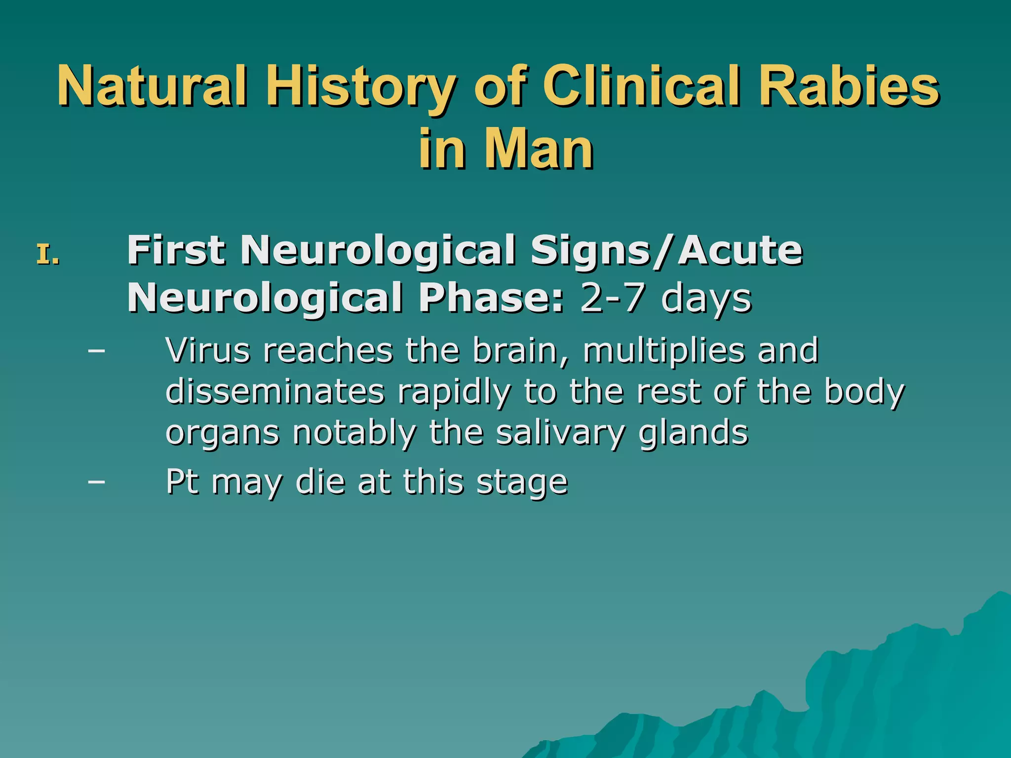 Natural History of Clinical Rabies  in Man First Neurological Signs/Acute Neurological Phase:  2-7 days Virus reaches the brain, multiplies and disseminates rapidly to the rest of the body organs notably the salivary glands Pt may die at this stage 