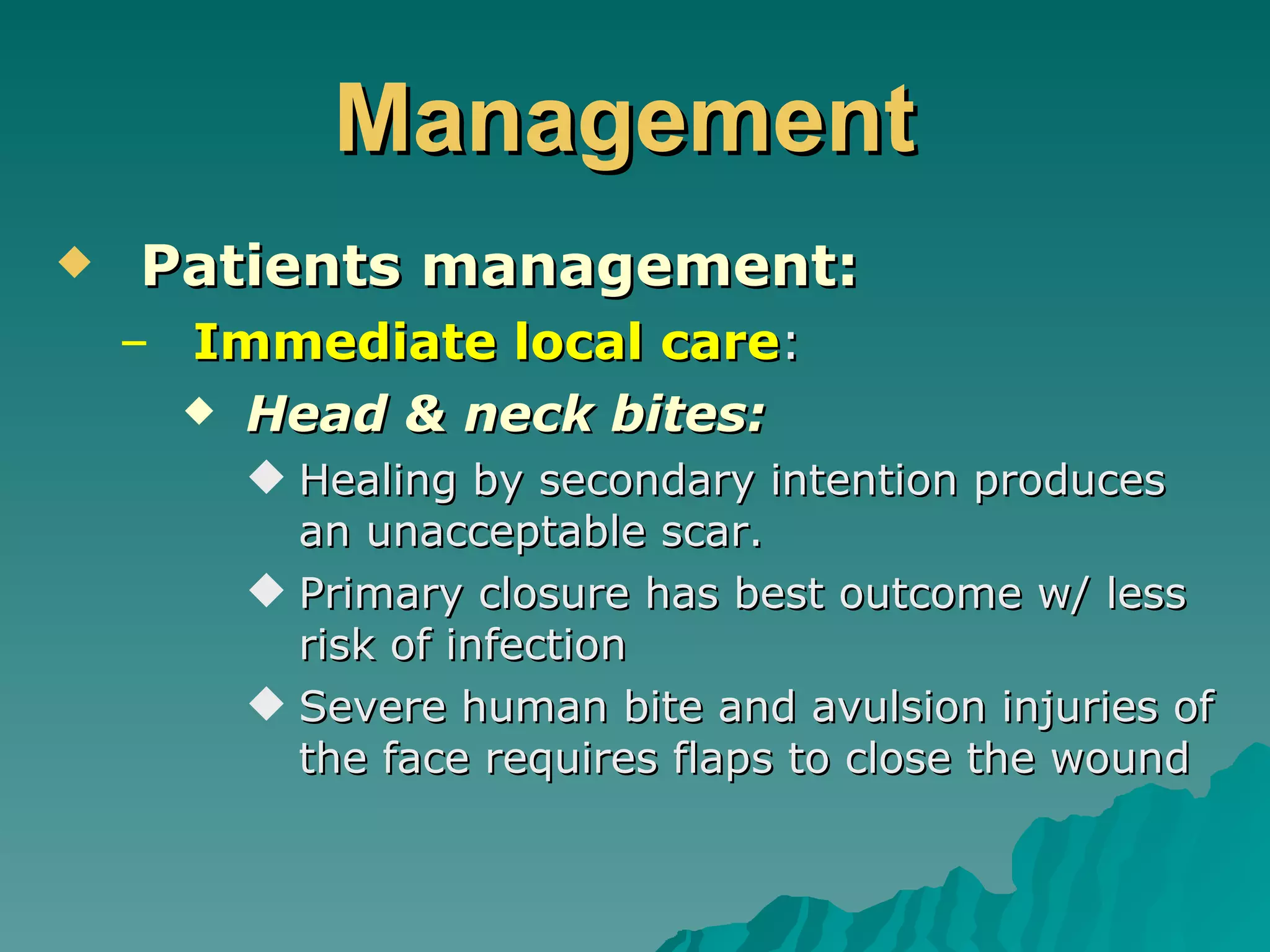 Management   Patients management: Immediate local care : Head & neck bites: Healing by secondary intention produces an unacceptable scar. Primary closure has best outcome w/ less risk of infection Severe human bite and avulsion injuries of the face requires flaps to close the wound 