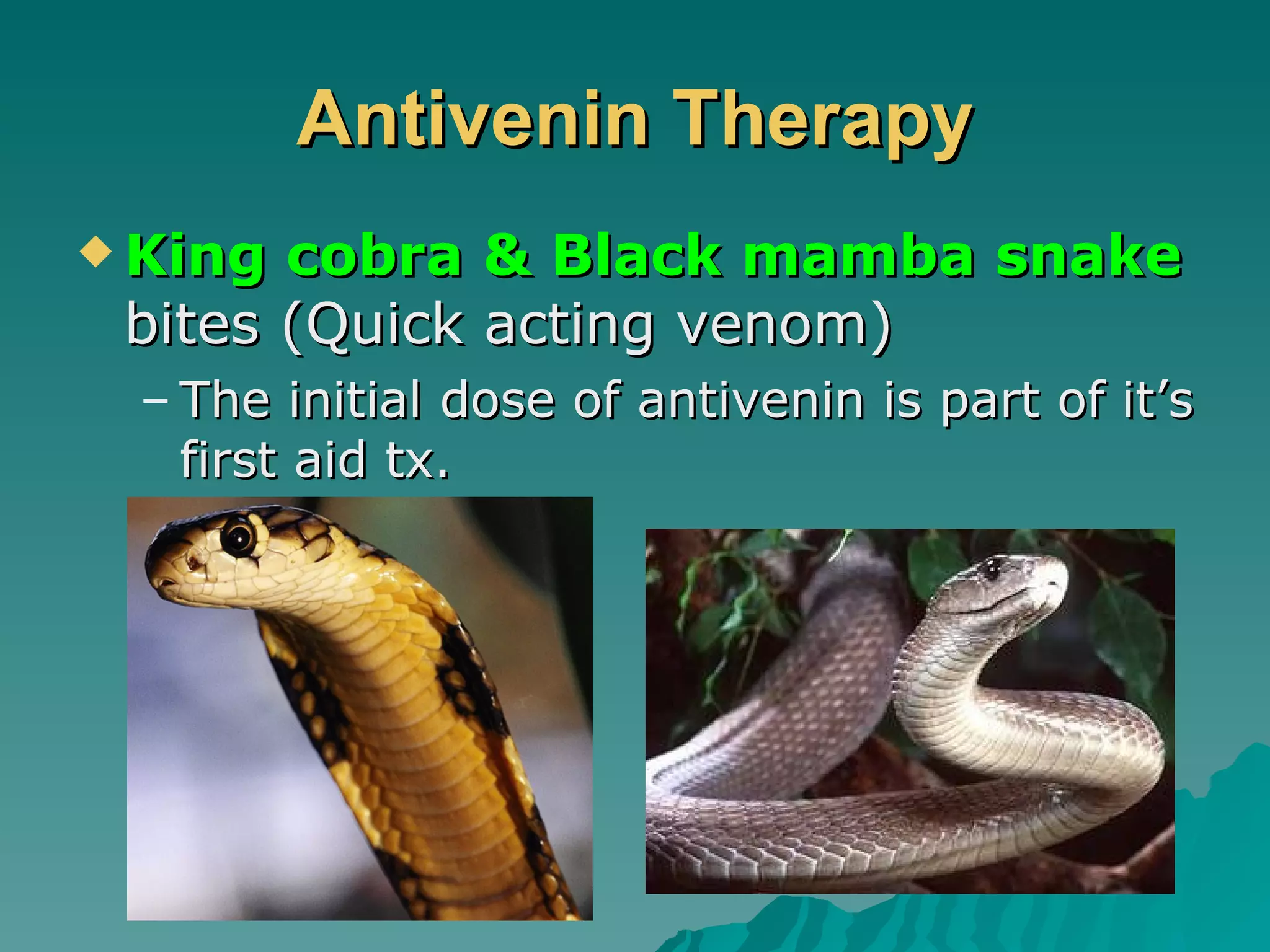 Antivenin Therapy King cobra & Black mamba snake  bites (Quick acting venom) The initial dose of antivenin is part of it’s first aid tx.  