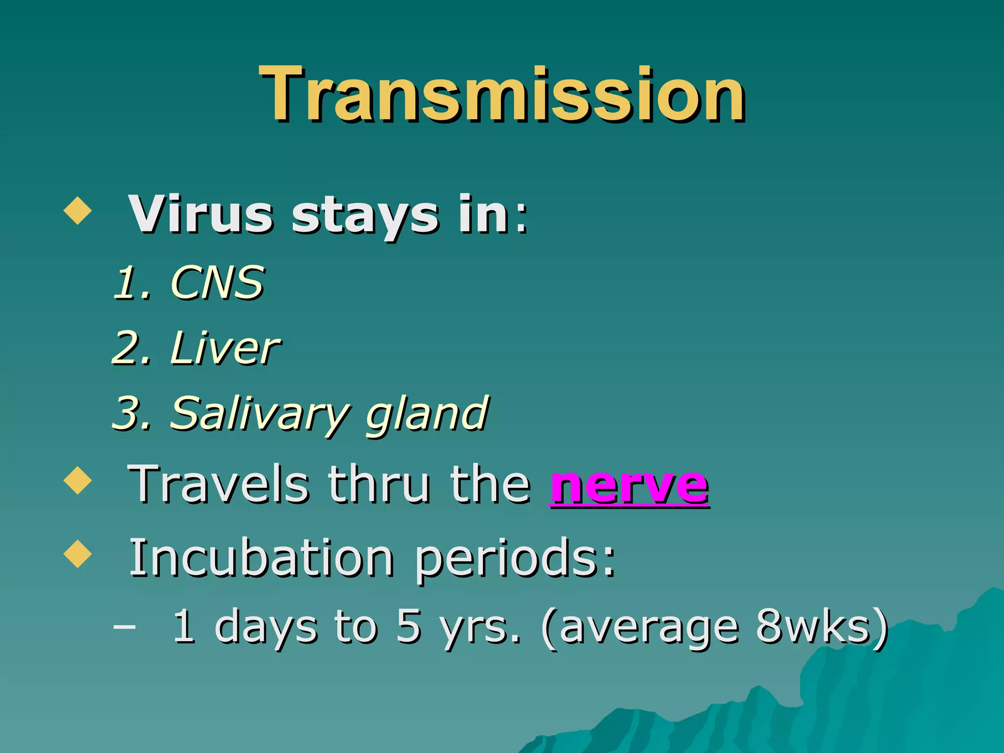 Transmission Virus stays in : CNS Liver Salivary gland Travels thru the  nerve Incubation periods: 1 days to 5 yrs. (average 8wks) 