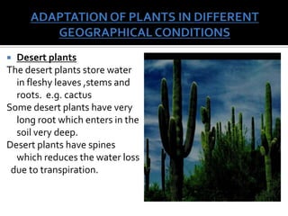 Animal and plant adaptation