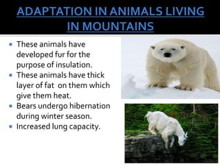 Animal and plant adaptation