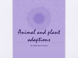 Animal and plant 
adaptions 
By Jillian Nava Street 
 
