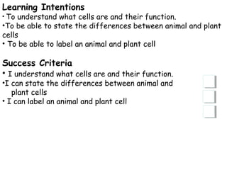 Learning Intentions 
• To understand what cells are and their function. 
•To be able to state the differences between animal and plant 
cells 
• To be able to label an animal and plant cell 
Success Criteria 
• I understand what cells are and their function. 
•I can state the differences between animal and 
plant cells 
• I can label an animal and plant cell 
 