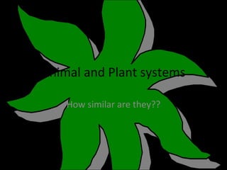 Animal and Plant systems
How similar are they??

 