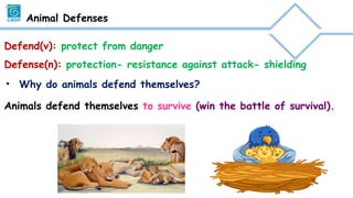 animal and their habitats school project.pptx