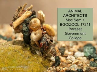 ANIMAL
ARCHITECTS
Msc Sem 1
BGC/ZOOL 17211
Barasat
Government
College
 