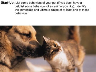 Start-Up: List some behaviors of your pet (if you don’t have a
pet, list some behaviors of an animal you like). Identify
the immediate and ultimate cause of at least one of those
behaviors.
 