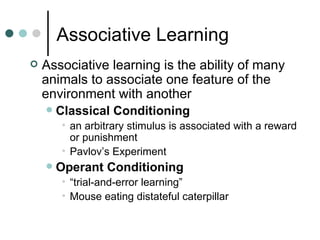 Animal behavior | PPT