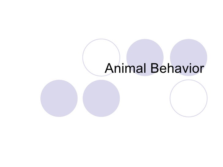 Animal behavior