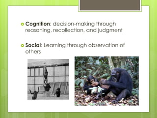  Cognition: decision-making through
reasoning, recollection, and judgment
 Social: Learning through observation of
others
 