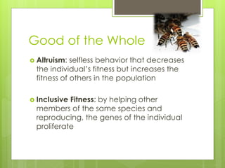 Good of the Whole
 Altruism: selfless behavior that decreases
the individual’s fitness but increases the
fitness of others in the population
 Inclusive Fitness: by helping other
members of the same species and
reproducing, the genes of the individual
proliferate
 