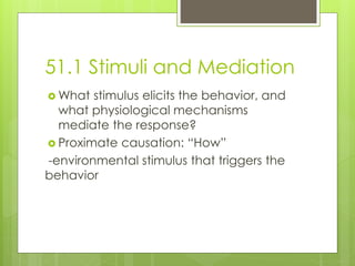 51.1 Stimuli and Mediation
 What stimulus elicits the behavior, and
what physiological mechanisms
mediate the response?
 Proximate causation: “How”
-environmental stimulus that triggers the
behavior
 