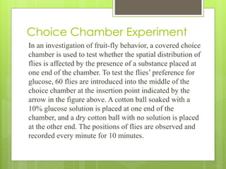 Choice Chamber Experiment
In an investigation of fruit-fly behavior, a covered choice
chamber is used to test whether the spatial distribution of
flies is affected by the presence of a substance placed at
one end of the chamber. To test the flies’ preference for
glucose, 60 flies are introduced into the middle of the
choice chamber at the insertion point indicated by the
arrow in the figure above. A cotton ball soaked with a
10% glucose solution is placed at one end of the
chamber, and a dry cotton ball with no solution is placed
at the other end. The positions of flies are observed and
recorded every minute for 10 minutes.
 