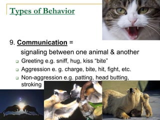 Types of Behavior
9. Communication =
signaling between one animal & another
 Greeting e.g. sniff, hug, kiss “bite”
 Aggression e. g. charge, bite, hit, fight, etc.
 Non-aggression e.g. patting, head butting,
stroking
 