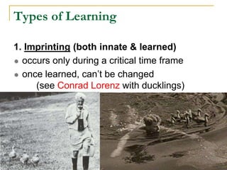 Types of Learning
1. Imprinting (both innate & learned)
 occurs only during a critical time frame
 once learned, can’t be changed
(see Conrad Lorenz with ducklings)
 
