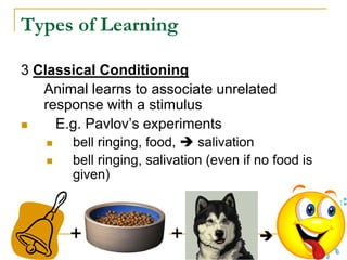 Types of Learning
3 Classical Conditioning
Animal learns to associate unrelated
response with a stimulus
 E.g. Pavlov’s experiments
 bell ringing, food,  salivation
 bell ringing, salivation (even if no food is
given)
+ + 
 