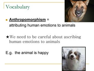 Vocabulary
 Anthropomorphism =
attributing human emotions to animals
★We need to be careful about ascribing
human emotions to animals
E.g. the animal is happy
 