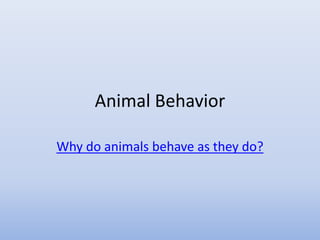 Animal Behavior
Why do animals behave as they do?
 