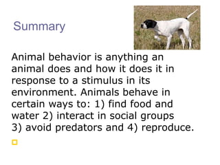 Animal Behavior | PPT