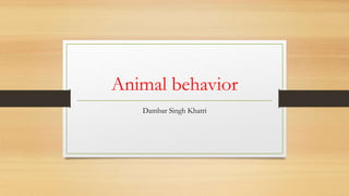 Animal behavior | PPTX