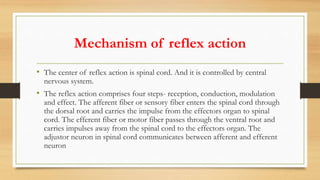Animal behavior | PPTX