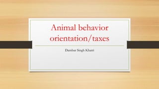 Animal behavior
orientation/taxes
Dambar Singh Khatri
 