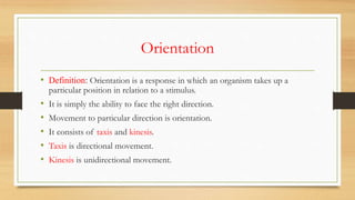 Animal behavior/ orientation/taxes