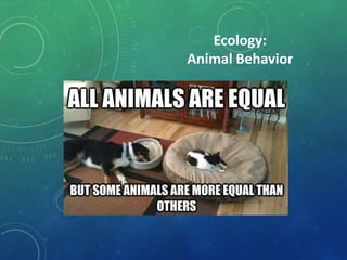 Ecology:
Animal Behavior
 