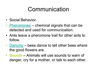 Communication
• Social Behavior.
• Pheromones – chemical signals that can be
detected and used for communication.
• Ants leave a pheromone trail for other ants to
follow.
• Dancing – bees dance to tell other bees where
the good flowers are.
• Sounds – Animals will use sounds to warn of
danger, cry for a mother, or talk to each other.
 