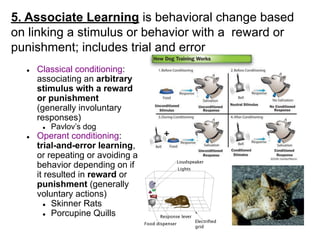 Animal Behavior.ppt.pdffukkvvfddddddfghjiihg | PDF