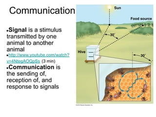 Communication
●Signal is a stimulus
transmitted by one
animal to another
animal
●http://www.youtube.com/watch?
v=4NtegAOQpSs (3 min)
●Communication is
the sending of,
reception of, and
response to signals
 