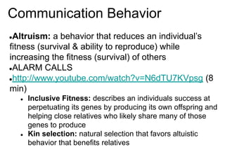 Communication Behavior
●Altruism: a behavior that reduces an individual’s
fitness (survival & ability to reproduce) while
increasing the fitness (survival) of others
●ALARM CALLS
●http://www.youtube.com/watch?v=N6dTU7KVpsg (8
min)
● Inclusive Fitness: describes an individuals success at
perpetuating its genes by producing its own offspring and
helping close relatives who likely share many of those
genes to produce
● Kin selection: natural selection that favors altuistic
behavior that benefits relatives
 