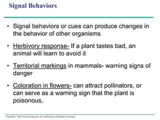 Animal behavior 2012 2013 | PPTX