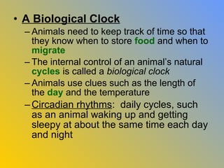 • A Biological Clock
  – Animals need to keep track of time so that
    they know when to store food and when to
    migrate
  – The internal control of an animal’s natural
    cycles is called a biological clock
  – Animals use clues such as the length of
    the day and the temperature
  – Circadian rhythms: daily cycles, such
    as an animal waking up and getting
    sleepy at about the same time each day
    and night
 