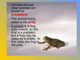 – Animals that eat
  other animals are
  known as
 predators
– The animal being
  eaten is the prey
– Example A frog
  eats insects, so the
  frog is a predator.
  But a frog may be
  eaten by a snake. In
  this case, the frog is
  the prey.
 
