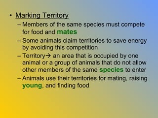 • Marking Territory
  – Members of the same species must compete
    for food and mates
  – Some animals claim territories to save energy
    by avoiding this competition
  – Territory an area that is occupied by one
    animal or a group of animals that do not allow
    other members of the same species to enter
  – Animals use their territories for mating, raising
    young, and finding food
 