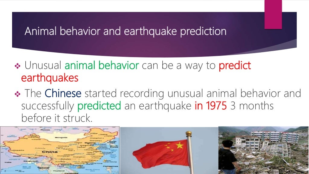 Animal behavior before earthquake