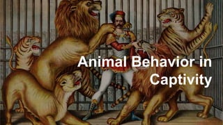 Animal Behavior in
Captivity
 