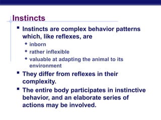 Animal Behavior Lecture for High School Zoology | PPTX