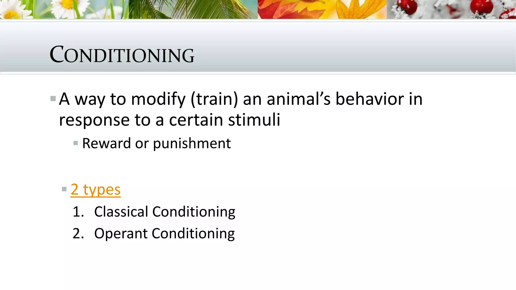 CONDITIONING
A way to modify (train) an animal’s behavior in
response to a certain stimuli
 Reward or punishment
 2 types
1. Classical Conditioning
2. Operant Conditioning
 