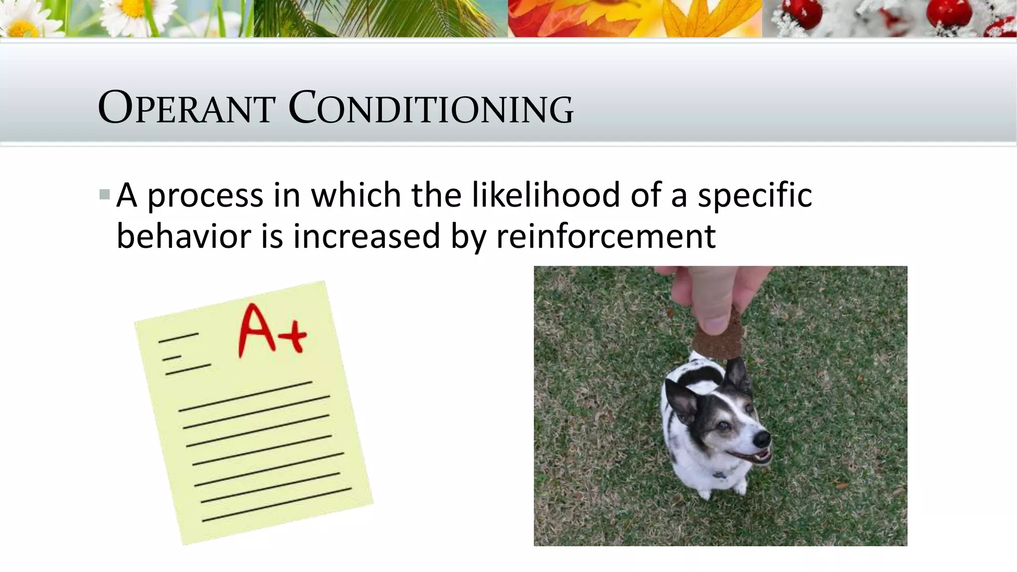 OPERANT CONDITIONING
A process in which the likelihood of a specific
behavior is increased by reinforcement
 